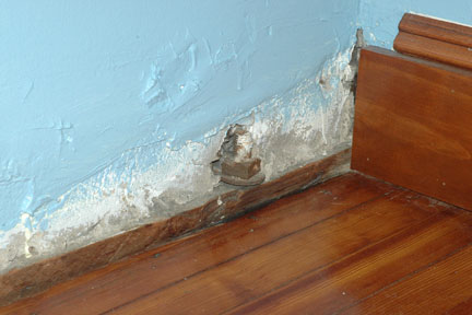 Inspect The Uninspected - Home Inspection Services, from its QueensWest.com directory listing